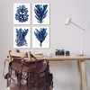 Stupell Industries Indigo Blue Ocean Plants Coastal Kelp 4pc Wall Plaque Set - 2 of 4