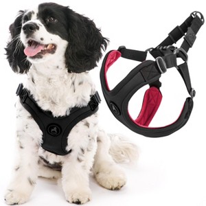 Gooby Escape Free Sport Harness Black, Large - 1 of 1