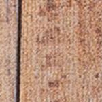 White Oak