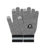 NFL Las Vegas Raiders Gray Big Logo Glove: Adult Knit Team Mittens - 3 of 4