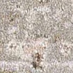 olive, charcoal, taupe, medium gray, light gray