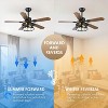 42 or 52 Inches Ceiling Fan - 4 of 4