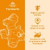 ORGANIC INDIA Turmeric Curcumin Herbal Supplement - image 3 of 4