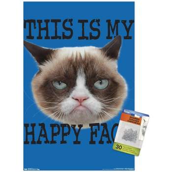 Angry Cat Meme Pin