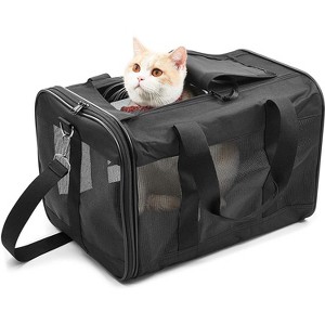 Dexmalle Pet Travel Carrier Soft Sided Portable Bag - 1 of 4