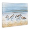 Stupell Industries Summer Sandpipers on Shore Canvas Wall Art - 3 of 4