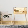 COZONY Large Hamster Cage with Legs, Chew Proof Acrylic Window & Openable Top, Spacious Habitat for Hamster Guinea Pig Chinchilla - 3 of 4
