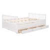Full Size Daybed with Twin Size Trundle and Drawers - 3 of 4