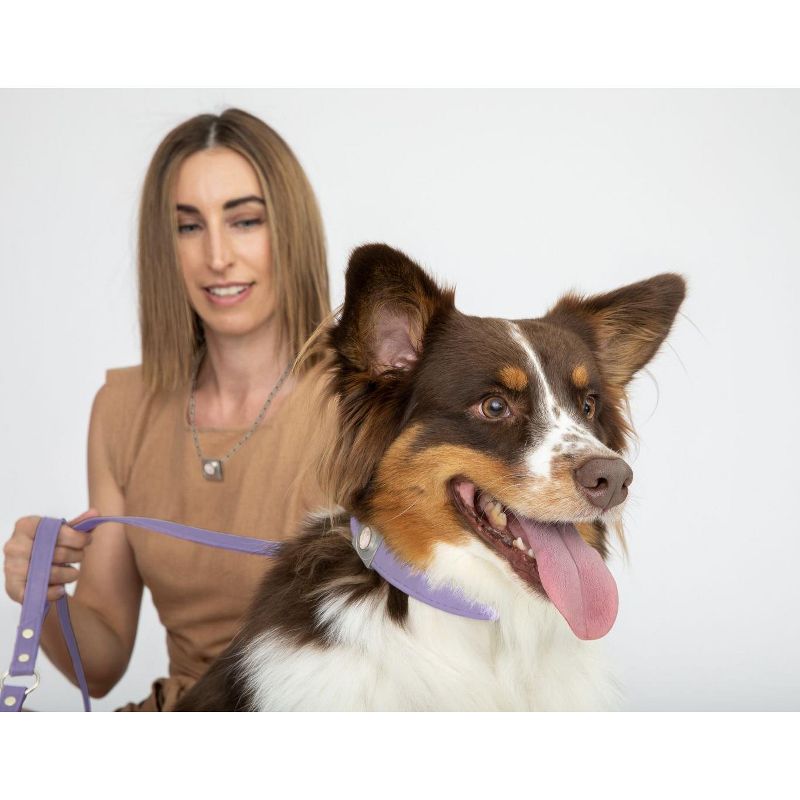 DIPHDA™ Luxury Pet Collar Charm Set – Durable Eco-friendly Vegan Cactus Leather Dog Collar & Cat Collar w/ Rose Quartz Crystal Charm, 3 of 5