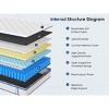 PAGED Mattress Hybrid Mattress with Memory Foam for Pressure Relief, Individually Pocketed Innerspring - 3 of 4