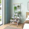 Costway 4-Tier Hanging Plant Stand Ladder Plant Shelf with Hanging Bar & Trellis - 4 of 4