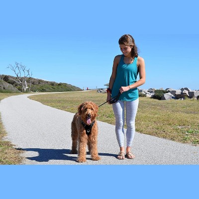 Black Rhino Adjustable Dog Harness With Mesh Padded Vest, Medium, Black Target