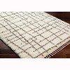 Hauteloom Hodor Plush Rug with Tassels - 3 of 4