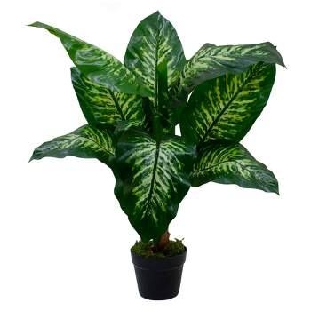 Northlight 36" Artificial Green and Ivory Variegated Leaf Dieffenbachia Potted Plant
