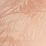 rose tan
