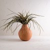 9" Zeke Round Natural Handthrown Terracotta Decorative Home Vase - 2 of 4