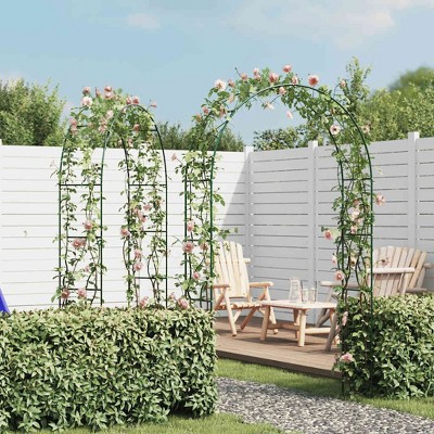 vidaXL Garden Arch 2 pcs