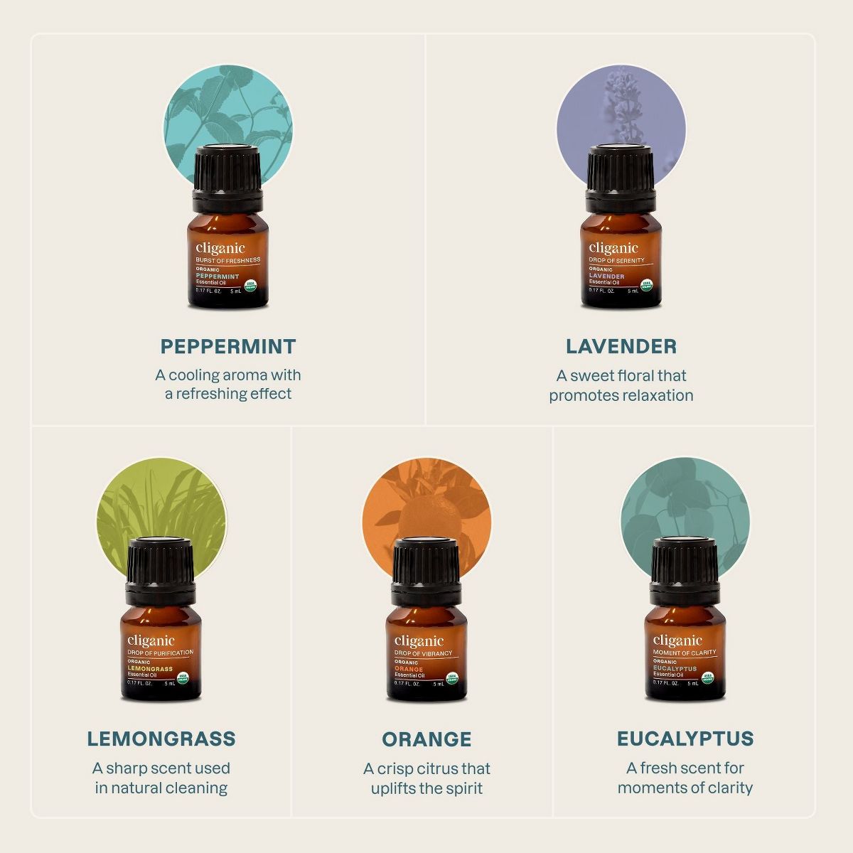 5-Piece Essential Oil Aromatherapy Set - thumbnail 5