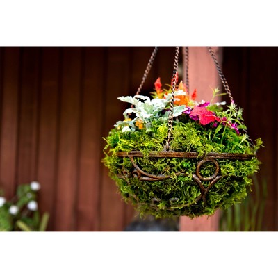 Green Preserved Forest Moss Decorative Filler