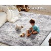 AMERLIFE Area Rug with Shaggy High Pile, Soft Carpet for Living Room and Bedroom - 4 of 4