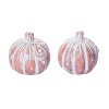 Transpac Resin 7.28 in. Off-White Harvest Washed Pumpkin In Crate Set of 12 - 2 of 3