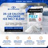 Snow Joe Melt 2 Go Crystal Snow & Ice Melt Salt for Sidewalk, 25 Lb - 2 of 4