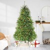 Northlight 7.5' Prelit Artificial Christmas Tree Full Northern Pine - Multi-Color Lights - 2 of 4