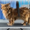 Groomer Essentials Stand Band - Medium - 3 of 4