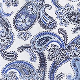 blue paisley