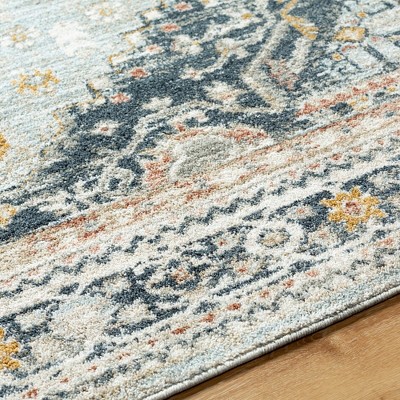 Nakea Pale Blue and Charcoal 5' x 7'5" Traditional Area Rug