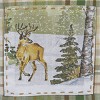 Park Designs Winter Morning Dishtowel Set of 2 - 3 of 4