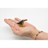 Toucan, Very Nice Rubber Bird, Hand Painted, Educational, Diorama, Realistic Figure, Lifelike, Replica, Toy, Kids, Gift,   2 Inches.     F624 B131 - 3 of 4