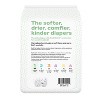 Parasol Clear+Dry Natural Disposable Diapers - 2 of 4