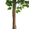 KTMBDW Ficus Artificial Trees with 2 Natural Curved Trunks, Tall Lush Faux Tree, Green Lifelike Fake Ficus Tree for Home Decor Indoor - 4 of 4