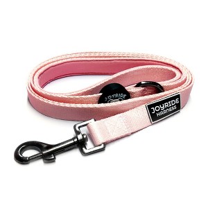 Joyride Harness Premium Matching Dog Leash - 1 of 4