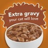 Purina Friskies Extra Gravy Chunky Chicken, Turkey, Salmon & Beef Wet Cat Food - 5.5oz/24ct Variety Pack - 3 of 4