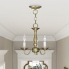 Livex Lighting Williamsburgh 3 - Light Chandelier in  Antique Brass - 4 of 4