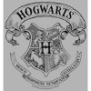 Men's Harry Potter Hogwarts 4 House Crest Pull Over Hoodie - 2 of 4