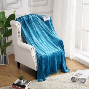 Heated Blanket Electric Throw, Soft Double-Sided Flannel Heating Blanket with 10 Hours Auto Off, Machine Washable, ETL Certification - 1 of 4