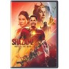 Shazam! Fury of the Gods (DVD) - 3 of 4