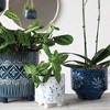 Storied Home Stoneware Footed Planter with Splatter Design, White and Blue - 3 of 4