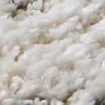 cream, white, black, lightslate, lightbeige