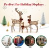 Karl Home 3PCS Rattan Reindeer Family with LED Lights Christmas Decoration - 3 of 4