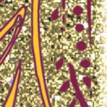 arizona state sun devils