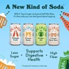 OLIPOP Classic Soda Variety Pack Prebiotic Soda - 12pk/12 fl oz Cans - 4 of 4