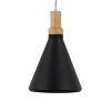Yosemite Home Decor Noir Collection One Light Pendant - 2 of 4