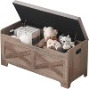 COZONY 24"/40" Wooden Storage Bench, Lift-Top Chest with Safety Hinges, Easy Assembly Ottoman for Bedroom, Entryway, Living Room - 4 of 4
