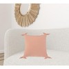 20"  Cotton Throw Pillow - 2 of 4