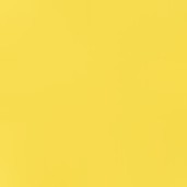 michigan white/yellow