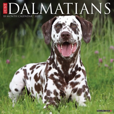 2022 Wall Calendar Just Dalmatians - Willow Creek Press